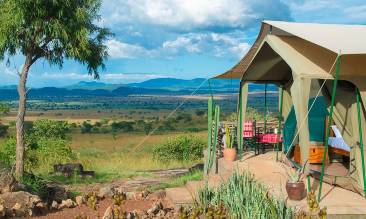Best mid-range accommodation facilities in Kidepo