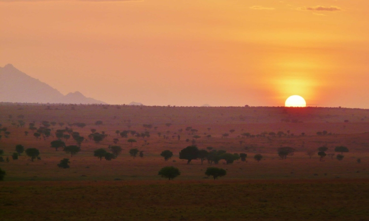 Narus Valley - Top Wildlife Viewing Spot in Kidepo