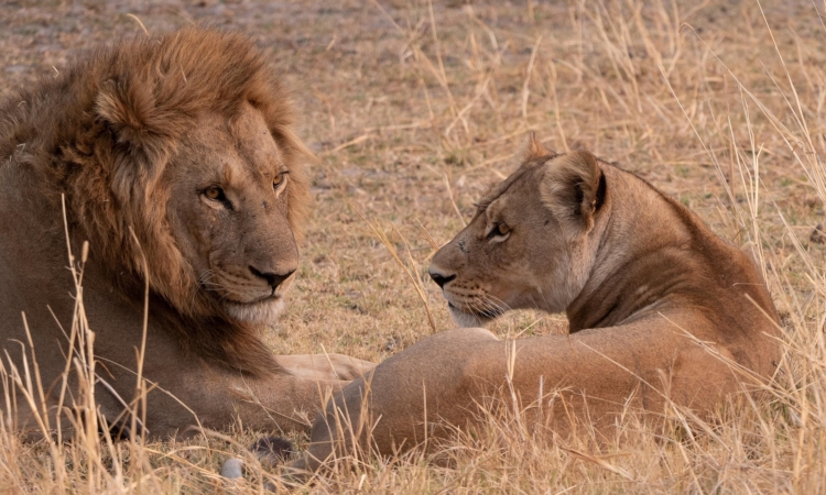 Top things to do in Kidepo